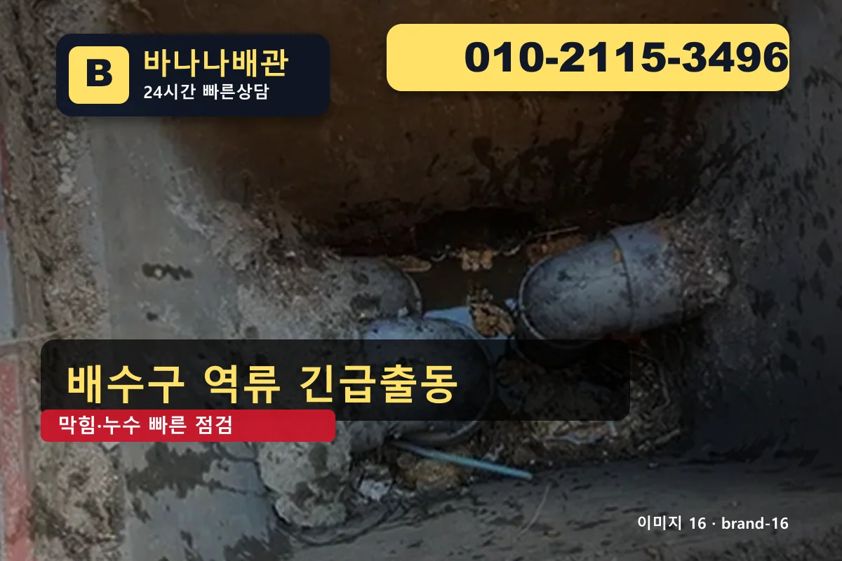 서울특별시 구로구 오류동 하수구 막힘 10곳 비교 오류동하수구 바나나배관 010-2115-3496 누수탐지 광고 이미지 서울특별시 구로구 오류동 하수구 막힘 10곳 비교 오류동하수구 바나나배관 010-2115-3496 누수탐지 광고 이미지
